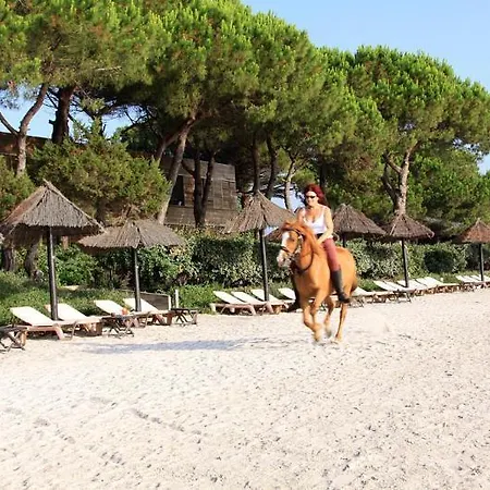 Mobydick Ξενοδοχείο με διαμερίσματα 3*