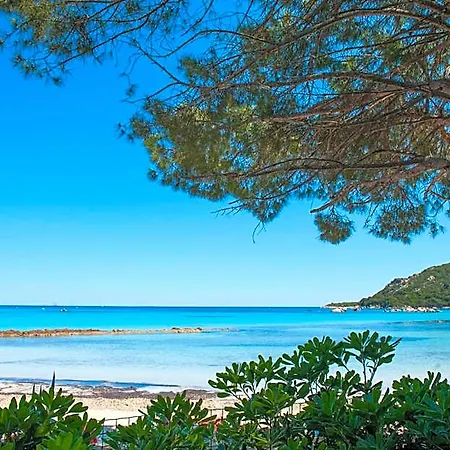 Moby Dick - Location Meublee Porto-Vecchio (Corsica)