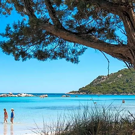 Lägenhetshotell Moby Dick - Location Meublee Porto-Vecchio (Corsica)