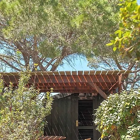 Moby Dick - Location Meublee Porto-Vecchio (Corsica)