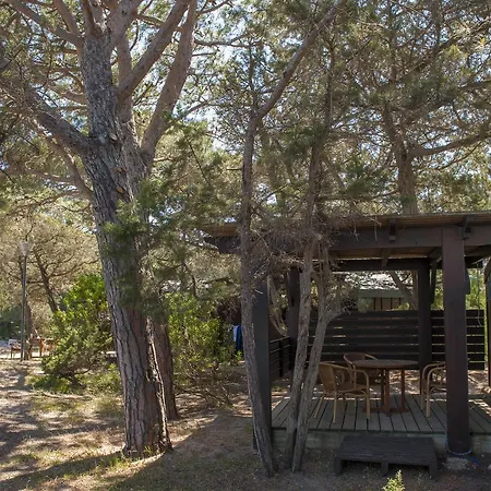 公寓式酒店 莫比迪克度假屋 维琪奥港