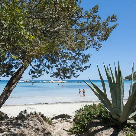 莫比迪克度假屋 3*