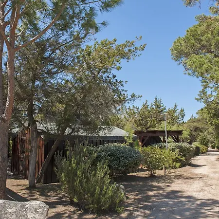 Moby Dick - Location Meublee Porto-Vecchio (Corsica)